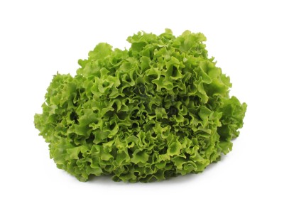 Салат айсберг 300 г - купить в Малиновке