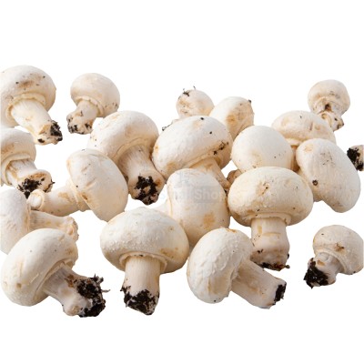 Шампиньоны свежие 500 г - купить в Малиновке